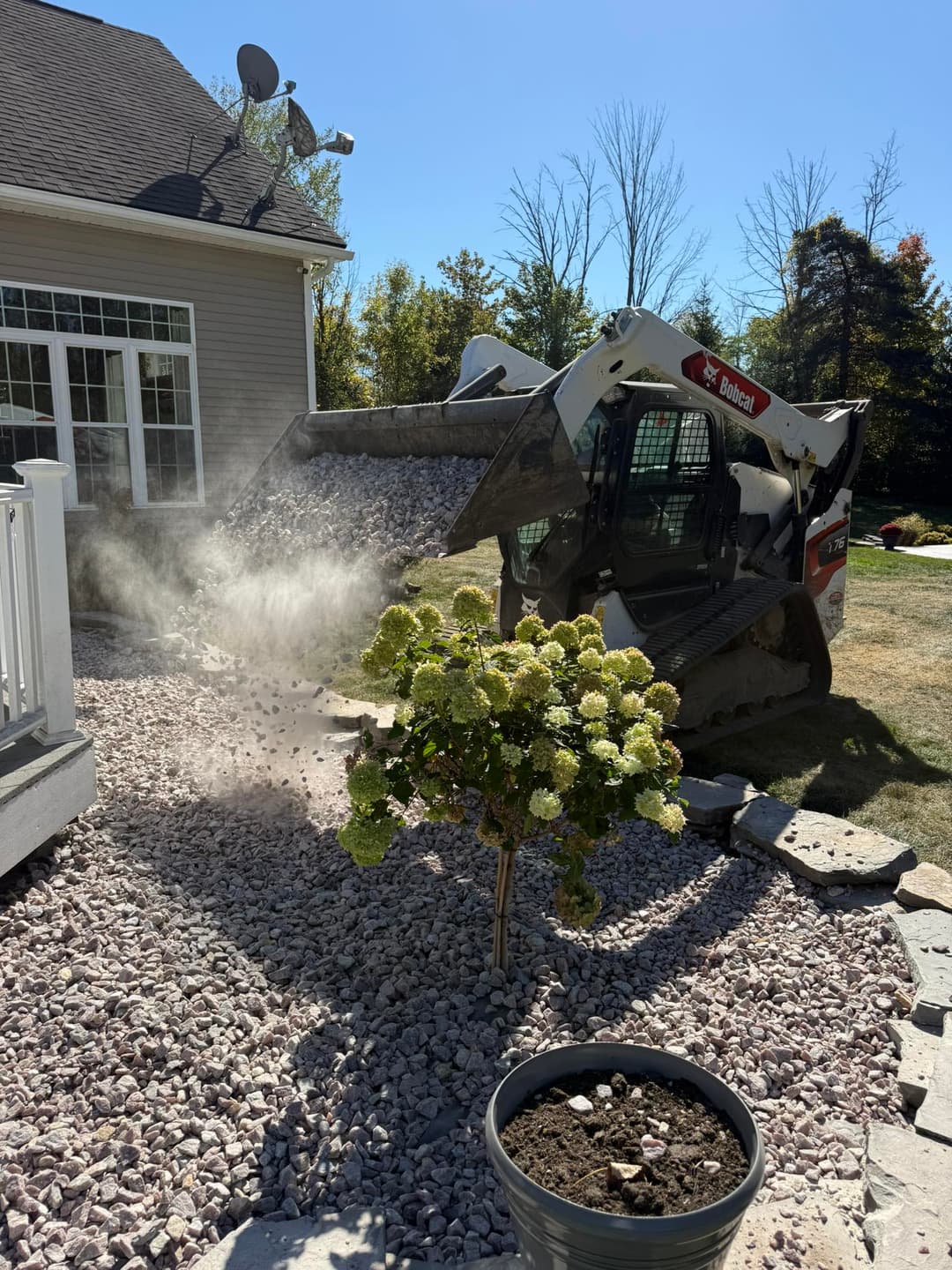 Skid steer unloading gravel in backyard landscaping project beside green hydrangea bush.