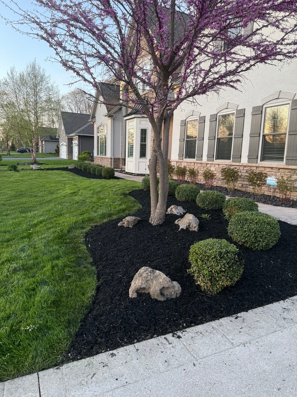 Colorful landscaping with purple tree, rocks, and manicured bushes alongside a modern home.