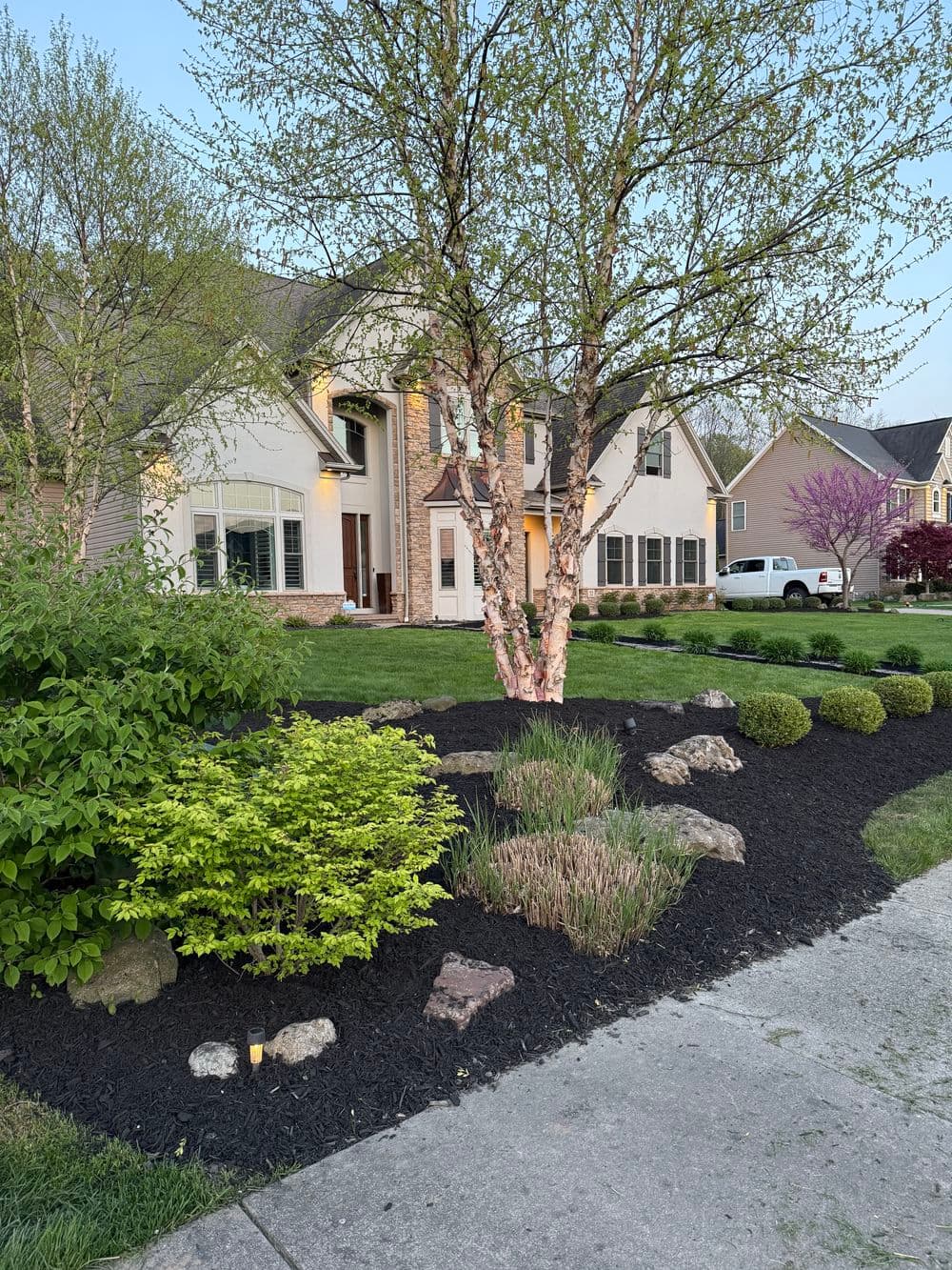 Modern home landscaping featuring green shrubs, flower beds, and a decorative birch tree.